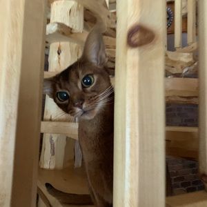 Meet your Posher, Lydia